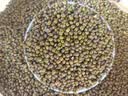 十月稻田 绿豆 5斤 可发豆芽 打豆浆 东北五谷杂粮 粗粮 大米伴侣 实拍图