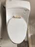 科勒（KOHLER）马桶圣拉菲尔虹吸冲水隔臭防溅缓降盖板坐便器线下实体店款4027 实拍图