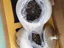 承道铭茶叶滇红茶滇红金螺 特级凤庆蜜香金丝嫩芽新茶送礼茶叶礼盒 实拍图