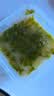 三只海豚芥末甜虾日式料理刺身即食调味小海鲜下酒菜100g*3盒 实拍图