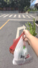 洁丽雅（Grace）一次性马桶垫旅行粘贴式旅游出差酒店防水马桶坐垫坐便垫30片 实拍图