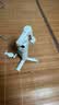 大疆 DJI Mic Mini 迷你无线高品音质 降噪领夹麦克风 【安卓+苹果15/16/17系列】手机版 一拖一 实拍图