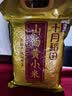 十月稻田 山西黄小米 5斤 真空袋装 山西特产 新米 小米黄小米 杂粮早餐粥 实拍图