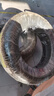 邓禄普（DUNLOP）汽车轮胎215/60R16 95H SPSPORT FM800适配凯美瑞天籁帕萨特迈腾 实拍图