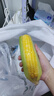 鲜活基围虾250g(15-20只) 实拍图