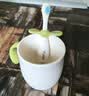 世喜儿童漱口杯1-3-6岁食品级宝宝婴儿刷牙缸敞口杯子一只宽手柄防摔 实拍图