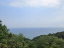 卡诗海源黑钻洗发水250ml*2滋养强韧水润柔顺深层清洁顺滑亮泽防毛躁 实拍图