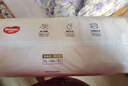 好奇（Huggies）铂金装小桃裤成长裤XL96片(12-17kg)加大号尿不湿【夏季散热王】 实拍图