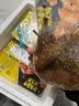 周黑鸭【限量赠品】锁鲜卤鸭脖135g 武汉特产 即食卤味  源头直发包邮 实拍图