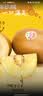 佳沛（zespri）新西兰阳光金奇异果巨大果15粒礼盒 单果146-175g 猕猴桃水果礼盒 实拍图