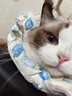 皇家猫粮 幼猫猫粮 幼猫奶糕 K36 通用粮 4-12月 2KG 实拍图