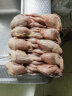 果鲜岛 鹌鹑肉新鲜母鹌鹑40只放血去内脏活体速冻烧烤油炸炖汤 现杀精选超大母鹌鹑(3两以上) 10只 晒单实拍图