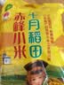 十月稻田 赤峰小米 1kg 内蒙古敖汉旗 黄小米杂粮 小米黄小米 新米 早 实拍图