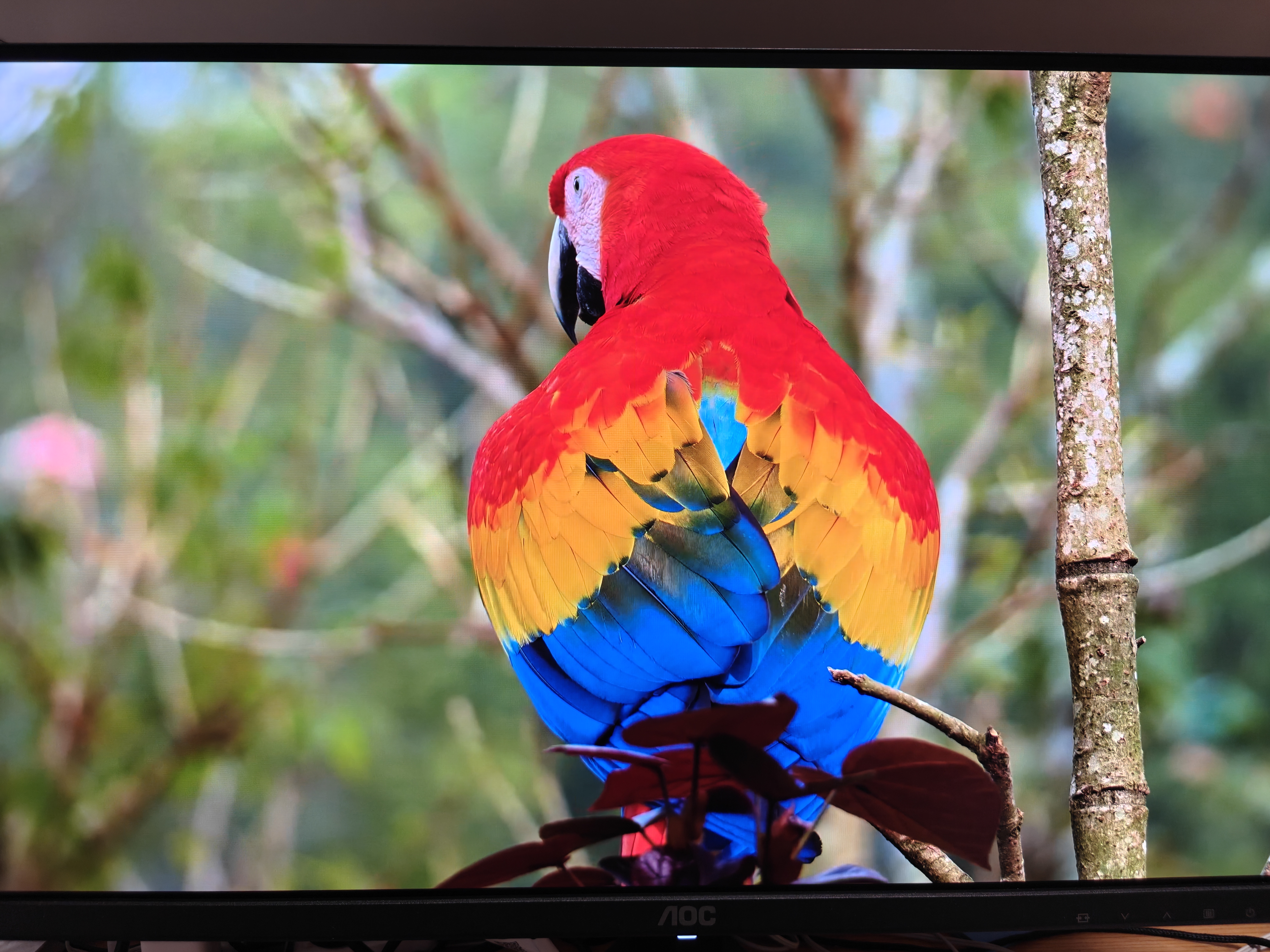 AOC 27英寸4K165Hz Gen.3五层堆叠QD-OLED 第五代BlackAGLR涂层 抗反射抗眩光更黑 电竞显示器U27G4D 实拍图