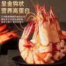 海仙津九节虾干即食大虾干烤虾干特大对虾干斑节虾干大烤虾海产干货礼盒 【特大款】九节虾干 500g 40-50只 净重 实拍图