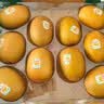 佳沛（zespri）新西兰 阳光金奇异果12粒特大果单果124-146g 猕猴桃水果礼盒 实拍图