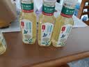 农夫山泉东方树叶茉莉花茶500ml*15瓶无糖茶饮料0糖0脂0卡整箱装 实拍图