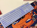 联想（Lenovo）有线键鼠套装KM220/TL21 巧克力按键有线键盘鼠标USB商务电脑办公键盘笔记本台式机一体机键盘紫色 实拍图