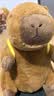 熊猫熊卡皮巴拉玩偶毛绒玩具公仔布娃娃男女孩生日礼物女生儿童水豚噜噜 实拍图