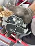 布雷博（Brembo）刹车后片原厂品质宝马1系118/120/125/3系/316/318/320/X1/E87F35 实拍图