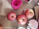 京鲜生 烟台红富士苹果 净重10斤 单果190g以上 礼盒装 生鲜水果 实拍图