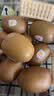 佳沛（zespri）新西兰阳光金奇异果 8个装 超大果单果重约175-204g 猕猴桃水果 实拍图