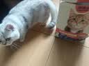 帕洛尼【帕洛尼猫粮】帕罗尼营养长肉高适口性高蛋白鲜肉主粮官方正品 1袋猫粮 多送【10元=营养猫条*5】 实拍图