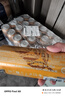豪铂熊（BearBeer）德国精酿黑啤酒500ml*24听 整箱装 京东自营 聚会畅饮 实拍图