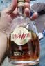 劲牌40度金标劲酒 礼盒装整箱装10味草本原料纯粮基酒 酒厂直营 40度 500mL 2瓶 礼盒装含紫荞小酒*2 实拍图