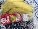 佳农 超甜香蕉800g 实拍图