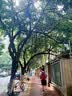 京东京造【Air 超轻】2026春夏季休闲运动鞋舒适懒人一脚蹬 黑色 实拍图