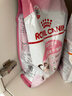 皇家猫粮 幼猫猫粮 幼猫奶糕 K36 通用粮 4-12月 4.5KG 实拍图