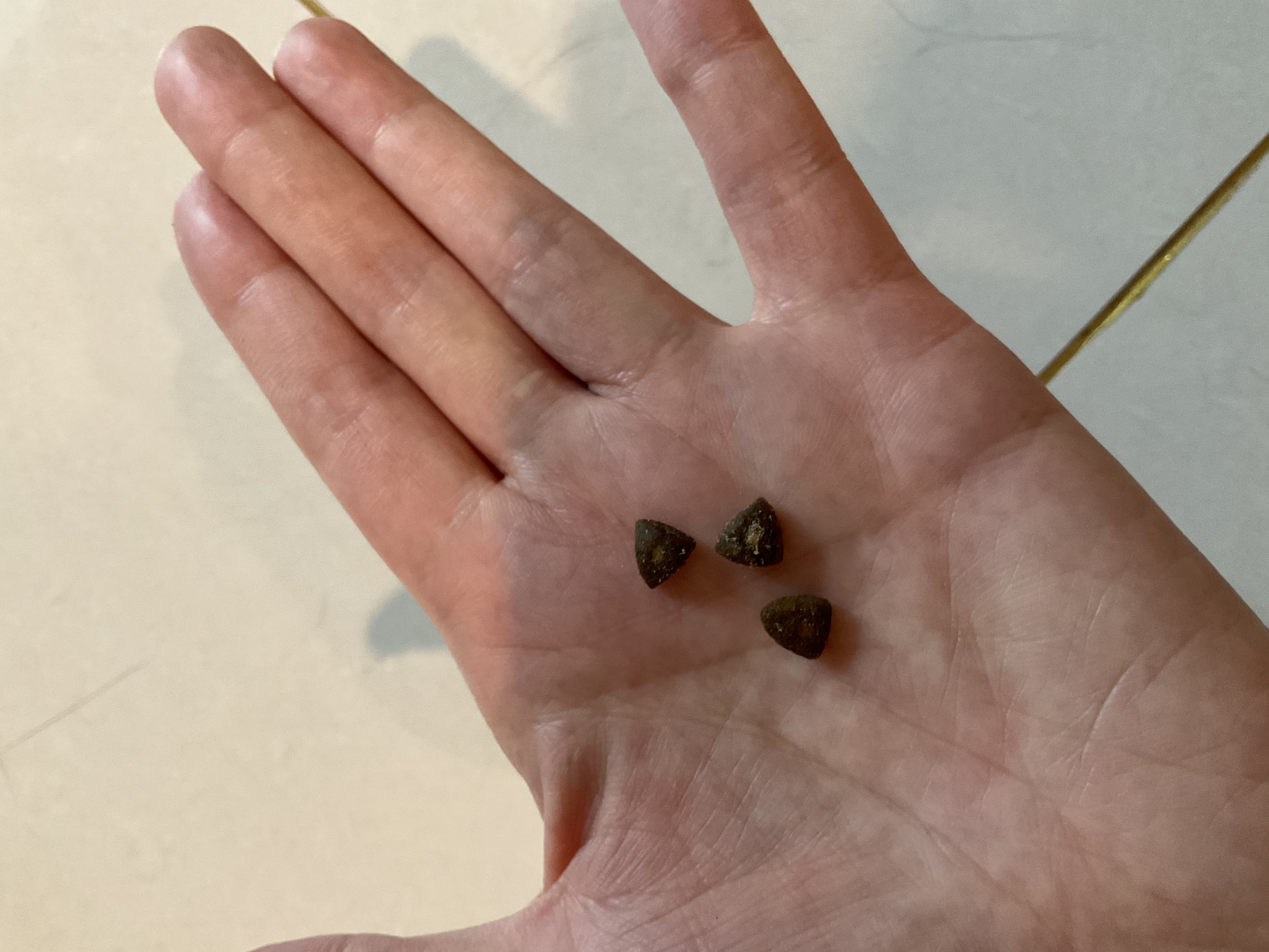 万物一口Original泛营养系列全价成猫粮活性益生菌猫粮BC30鸡肉鳕鱼1.5KG 实拍图