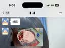 浮伴圆铁罐蛋糕动物奶油盒子蛋糕脆皮巧克力甜品点心慕斯罐罐蛋糕糕点 梦龙巧克力+草莓红丝绒+开心果树莓 实拍图