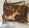 京东超市 海外直采黑椒调味牛排800g(4-5片) 2包/盒 牛肉烧烤儿童早餐胡椒 实拍图