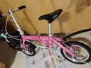 大行（DAHON）BYA412 粉色折叠自行车14英寸超轻便携小轮男女式单车 实拍图