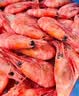 禧美海产海藻头北极甜虾净重1kg/盒 黑头虾 MSC认证 90-120+规格 海鲜 实拍图