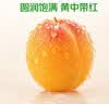 新疆吊干杏约400g 实拍图