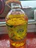 金龙鱼 食用油 非转基因 物理压榨玉米油6.18L（蕴含植物甾醇） 实拍图