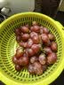 京鲜生 克伦生无籽红提 尝鲜装2-2.3斤 爽脆爽口 皮薄可食 生鲜水果 实拍图