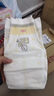 贝因美菁爱菁护小屁孩Pro拉拉裤XL30片（12-17kg）加大号夏季超薄透气 实拍图