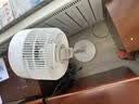 海尔（Haier）空气循环扇家用电风扇全自动摇头大风量台式落地扇大暴风卧室桌面立式省电加高智能语音遥控电扇 【全自动摇头】遥控款HFX-Y2352 实拍图