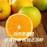 京觅秭归脐橙夏季鲜橙榨汁净重4.5斤胖嘟嘟200g+新鲜水果源头直发包邮 实拍图