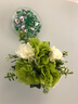 爱泽宝 仿真花假花塑料花干花陶瓷花瓶客厅餐桌摆件装饰花 书架隔板仿真花艺 工艺品多色可选 白花瓶+白绿绣球 实拍图