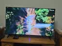 乐视TV50英寸 F50C 全高清画质 HDR 智能网络投屏 游戏液晶平板电视机 家用客厅酒店监控商用显示屏 50英寸 F50C 超高质价比 裸机版本 实拍图