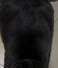 京东京造 低温烘焙冻干四拼猫粮2kg 鸡肉配方鲜肉高营养适口性成幼猫通用 实拍图