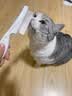 柒哦猫梳子跳蚤梳猫咪除蚤排梳狗狗梳子去跳蚤梳密齿梳神器猫用品 大除蚤排梳【大号】 实拍图