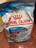 皇家狗粮 幼犬狗粮 宠物 小型犬 MIJ31 全价犬粮 2-10月 2KG 实拍图