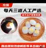 均鲜新鲜土鸽子蛋杂粮喂养农家特产白鸽蛋信鸽蛋孕妇宝宝年货节礼盒装 60枚1500g左右精选大个种鸽蛋 实拍图