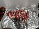 尚烤佳（Suncojia）304不锈钢烧烤签子 烤肉串穿羊肉串签 烧烤针 烧烤工具50只 实拍图
